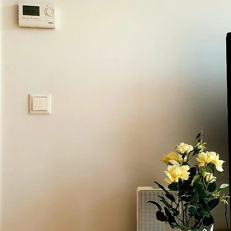 Near Lake Two Bedroom Fully Furnished Apartment Wenen Buitenkant foto
